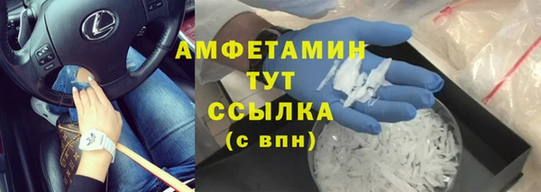 гашик Пестово