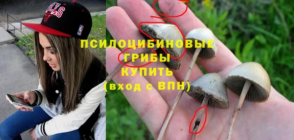шишки Пересвет