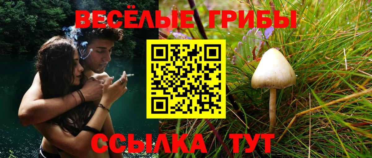 Галлюциногенные грибы Psilocybine cubensis  Вход с VPN  Электрогорск 