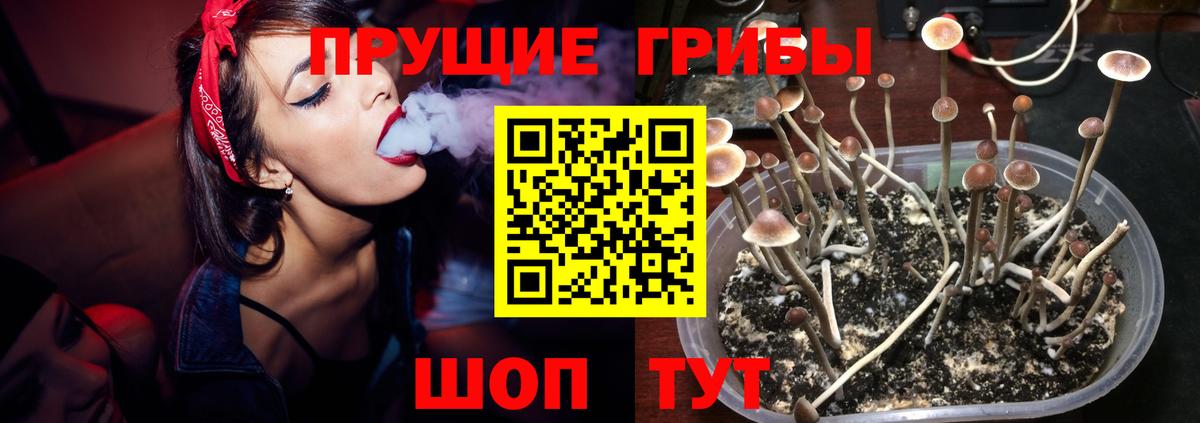 Галлюциногенные грибы MAGIC MUSHROOMS Электрогорск